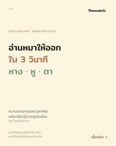อ่านหมาให้ออกใน 3 วินาที — หาง หู ตา