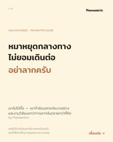 หมาหยุดกลางทาง ไม่ยอมเดินต่อ — อย่าลากครับ