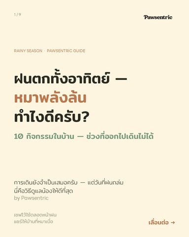 ฝนตกทั้งอาทิตย์ หมาพลังล้น — 10 กิจกรรมในบ้านที่ใช้ได้จริง