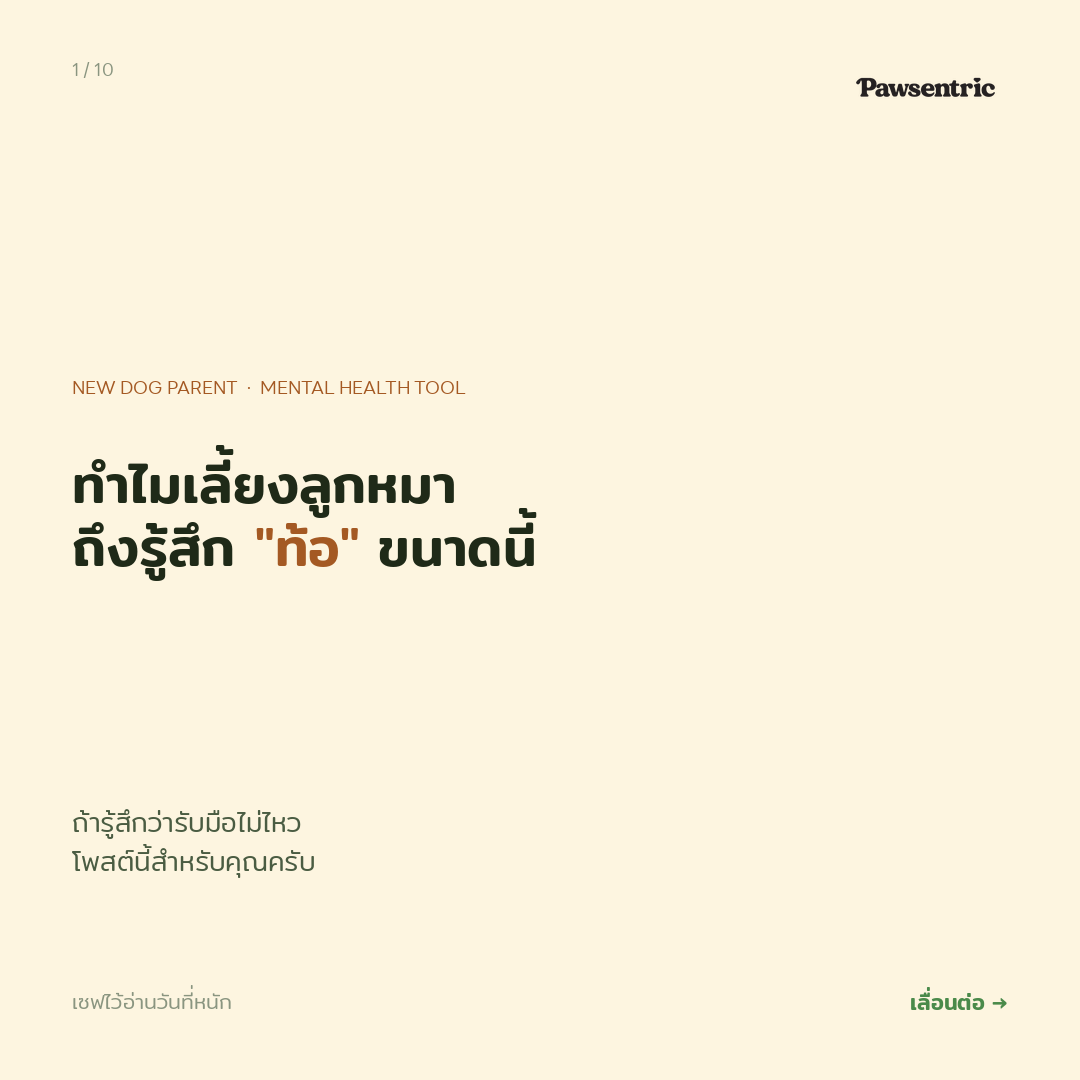 Puppy Blues — ภาวะหมดไฟของพ่อแม่หมามือใหม่ ที่เจ้าของครึ่งหนึ่งของโลกเจอ