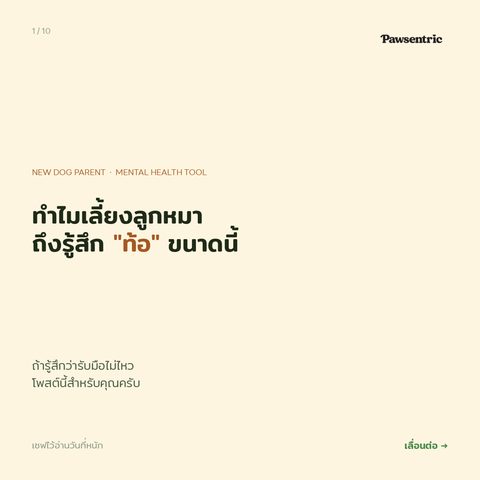 Puppy Blues — ภาวะหมดไฟของพ่อแม่หมามือใหม่ ที่เจ้าของครึ่งหนึ่งของโลกเจอ