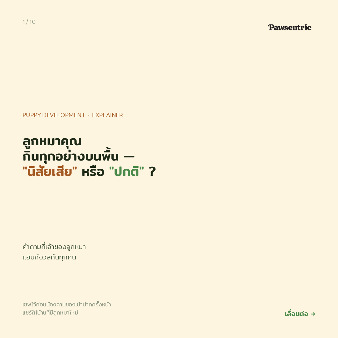 ลูกหมากินทุกอย่างบนพื้น — "นิสัยเสีย" หรือ "พัฒนาการปกติ"?