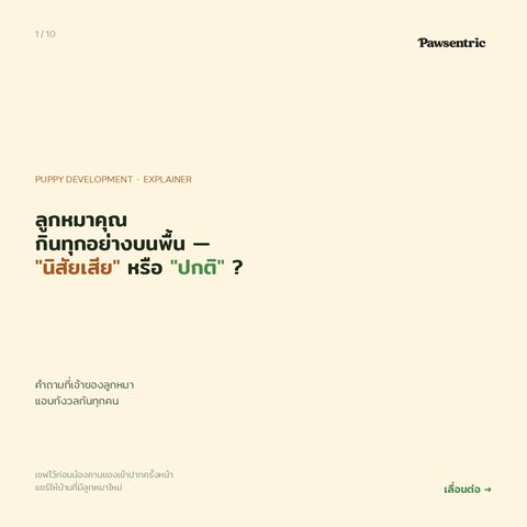 ลูกหมากินทุกอย่างบนพื้น — "นิสัยเสีย" หรือ "พัฒนาการปกติ"?
