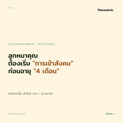 ช่วงทอง 3–16 สัปดาห์ — ทำไม "รอวัคซีนครบ" ทำให้ลูกหมาพลาดช่วงสำคัญที่สุดในชีวิต