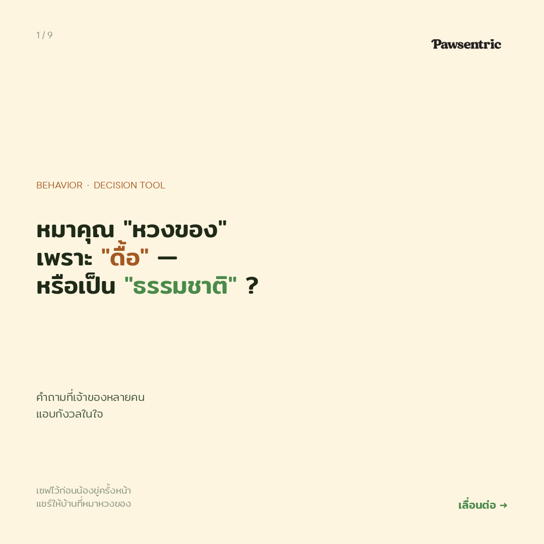 หมาหวงของ ไม่ใช่นิสัยแย่ — มันคือสัญชาตญาณเอาตัวรอด