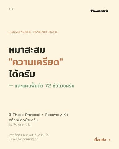 หมาสะสมความเครียดได้ — และนี่คือแผนฟื้นตัว 72 ชั่วโมง