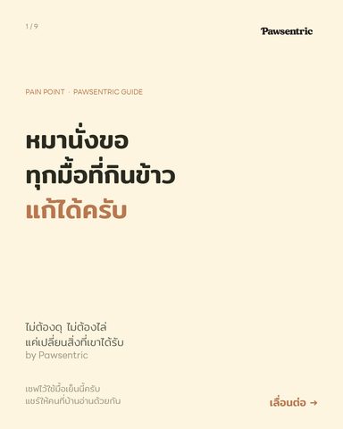 หมานั่งขอทุกมื้อที่กินข้าว — แก้ได้ครับ