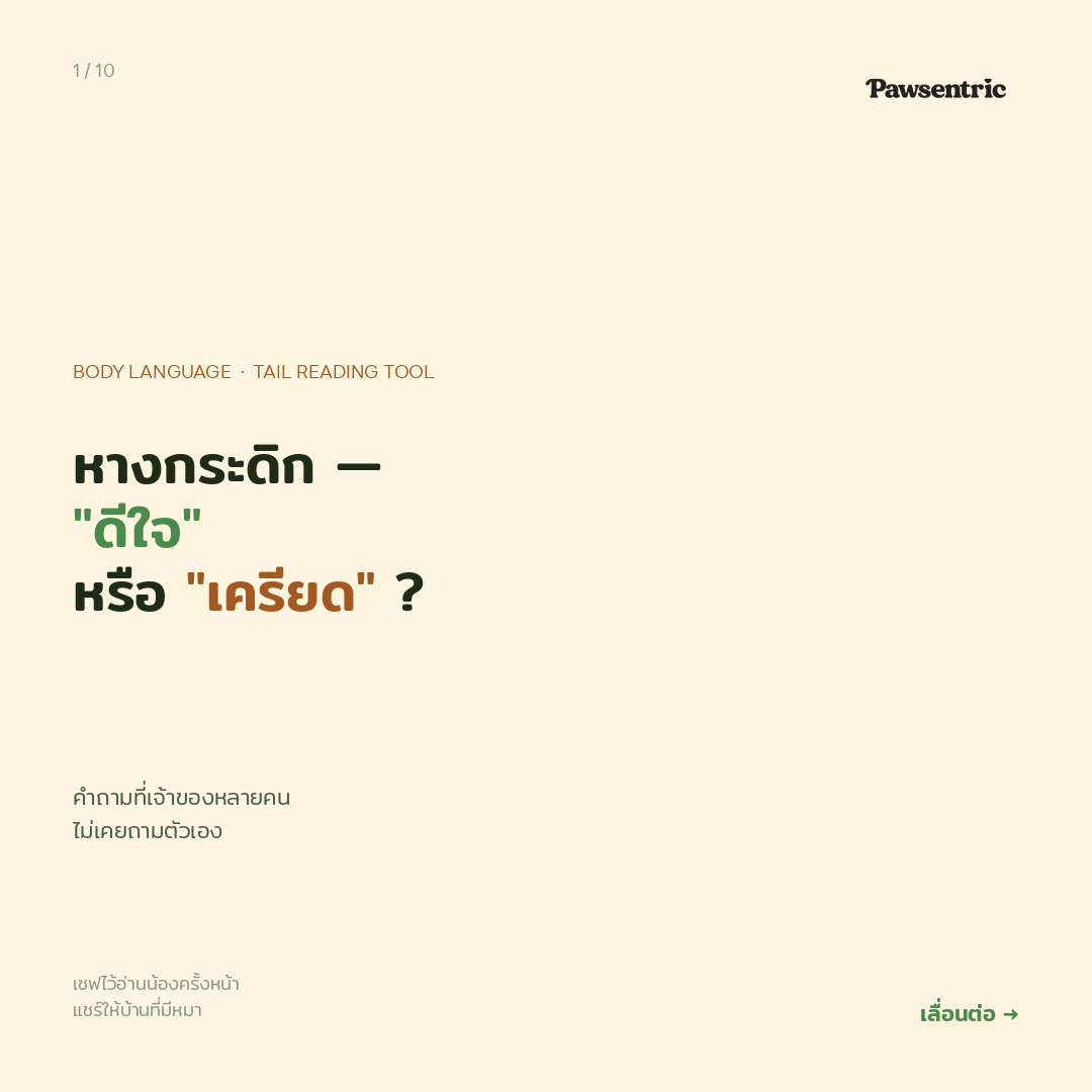 หางกระดิก ≠ ดีใจเสมอ — 4 แบบของการกระดิกหางที่ทุกบ้านต้องรู้