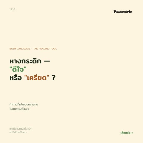 หางกระดิก ≠ ดีใจเสมอ — 4 แบบของการกระดิกหางที่ทุกบ้านต้องรู้