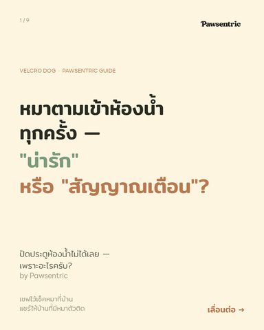หมาตามเข้าห้องน้ำทุกครั้ง — น่ารักหรือสัญญาณเตือน