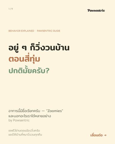 หมาวิ่งวนบ้านตอนสี่ทุ่ม — ปกติไหม และควรทำยังไง